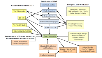 PSL%202014 vol07-no01-p207-227%20AzcunaGRID