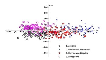 PSL%202014 vol07-no02-p387-397%20Cao