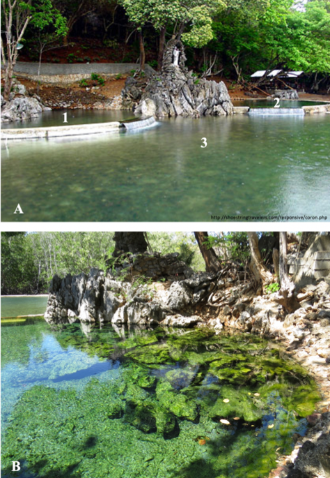 PSL%202019%20Special%20Issue%2002 Martinez-Goss%20et%20al