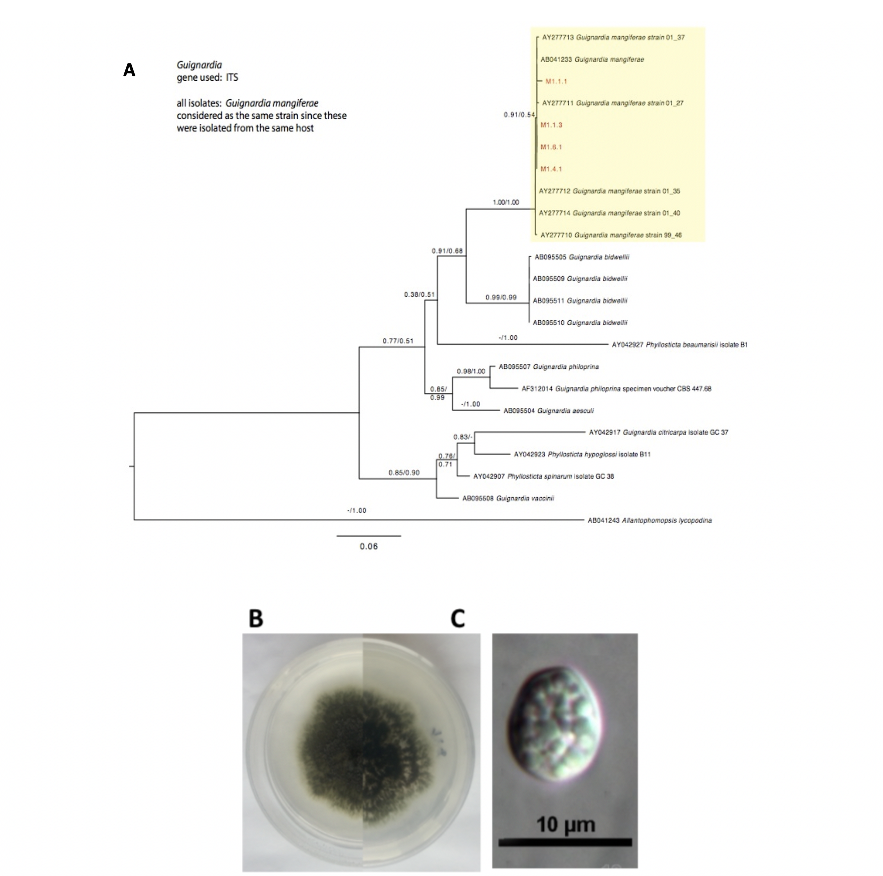 PSL%202019%20Special%20Issue%2003 Apurillo%20et%20al