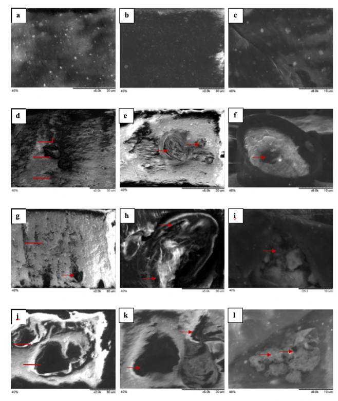 PSL%202019%20Special%20Issue%2005 Cada%20et%20al