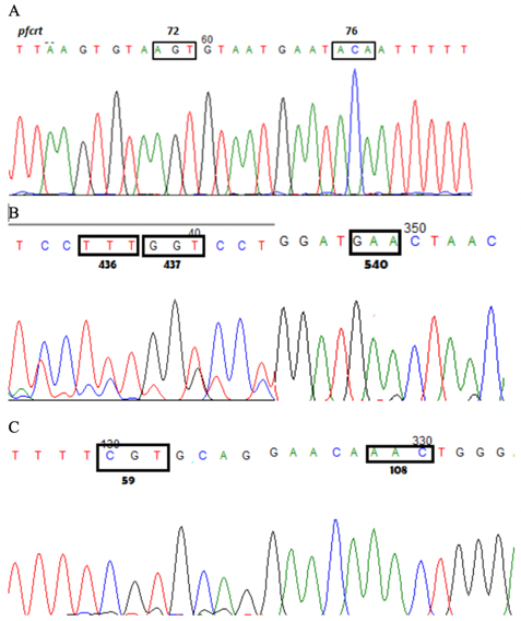 PSL%202019%20Special%20Issue%2008 Macalinao%20et%20al