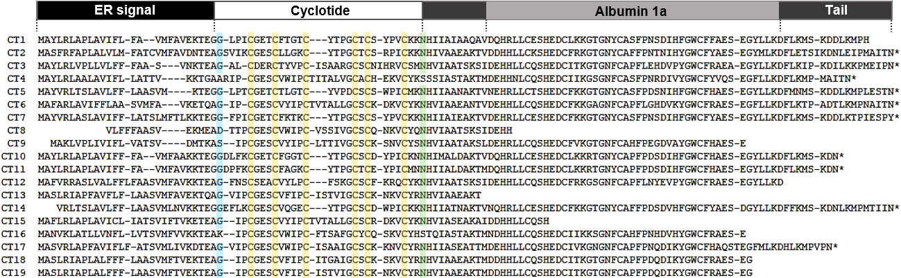 PSL%202019 vol12-no01-p39-61-Crisostomo%20et%20al