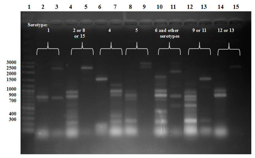 PSL%202019 vol12-no01-p68-78-Villegas%20et%20al