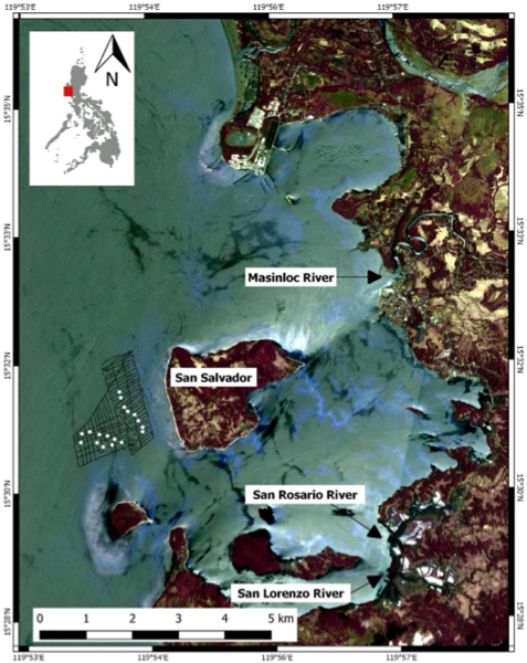 PSL%202019 vol12-no01-p95-101-Flores%20et%20al