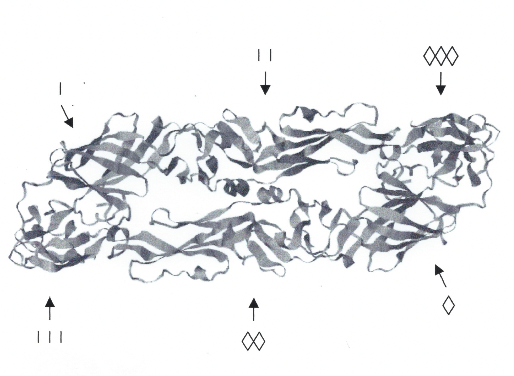 PSL%202019 vol12-no02-p133-138-Mikita%20and%20Padlan