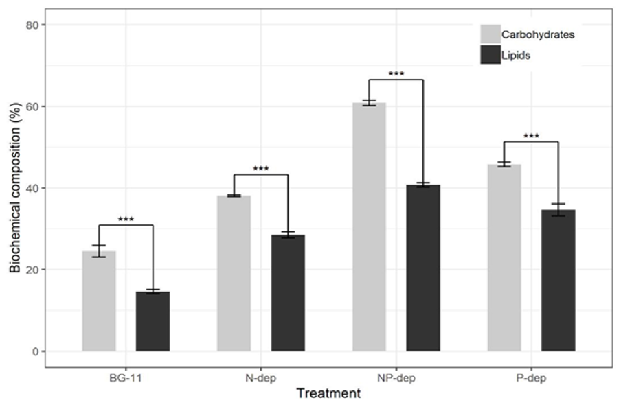 PSL%202019%20Special%20Issue%2008 Macalinao%20et%20al