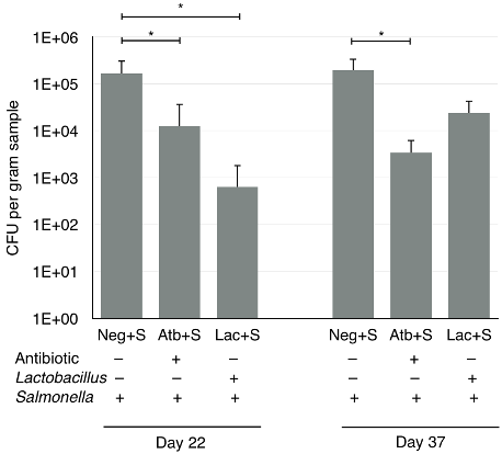 PSL%202019%20Special%20Issue%2008 Macalinao%20et%20al