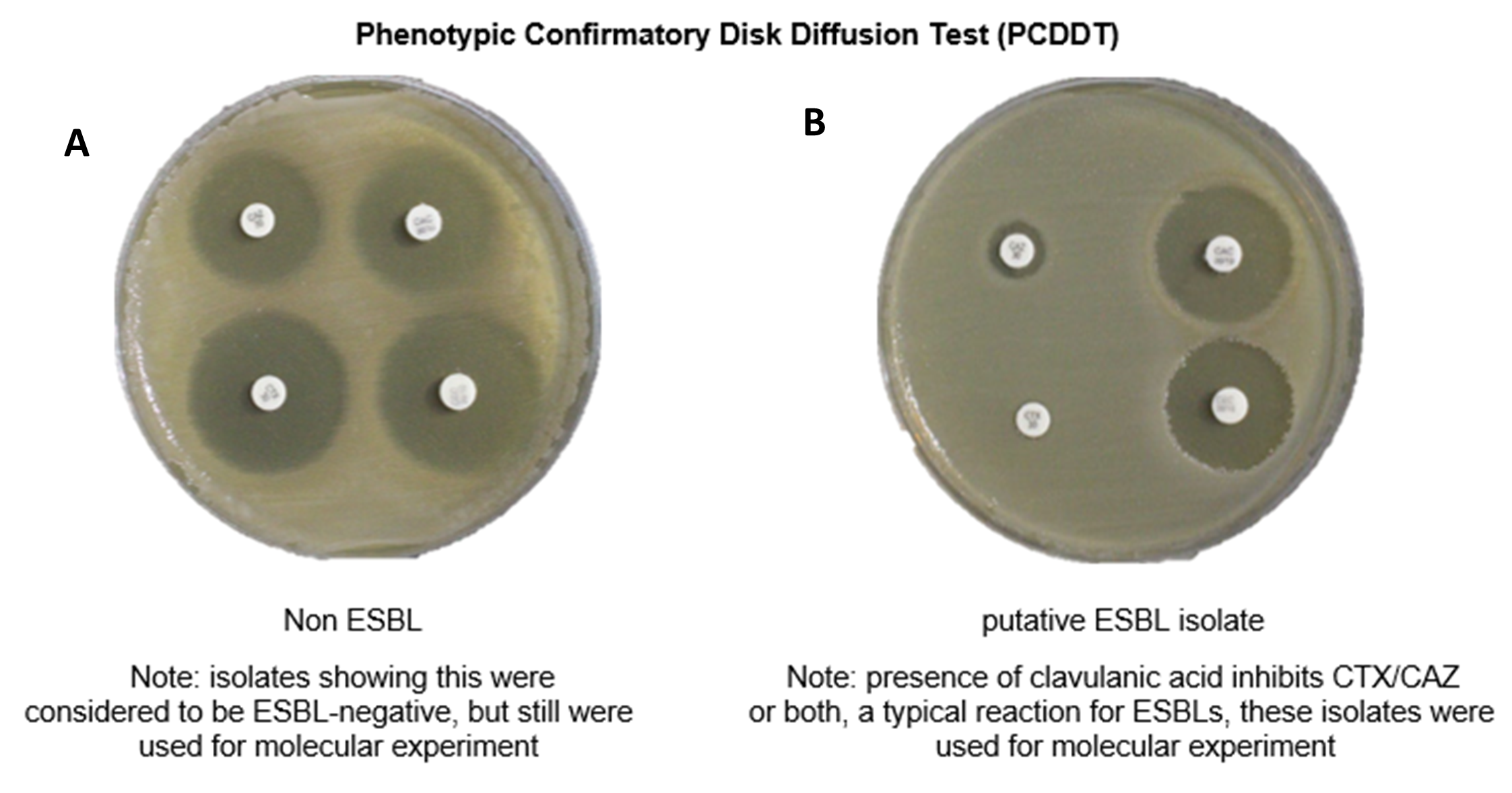 PSL%202019%20Special%20Issue%2008 Macalinao%20et%20al