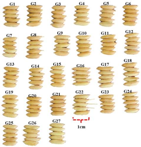 PSL%202019 vol12-no02-p133-138-Mikita%20and%20Padlan