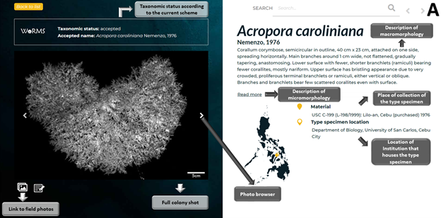 PSL%202019 vol12-no02-p133-138-Mikita%20and%20Padlan