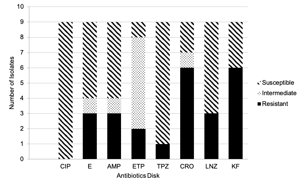 PSL%202019 vol12-no02-p133-138-Mikita%20and%20Padlan