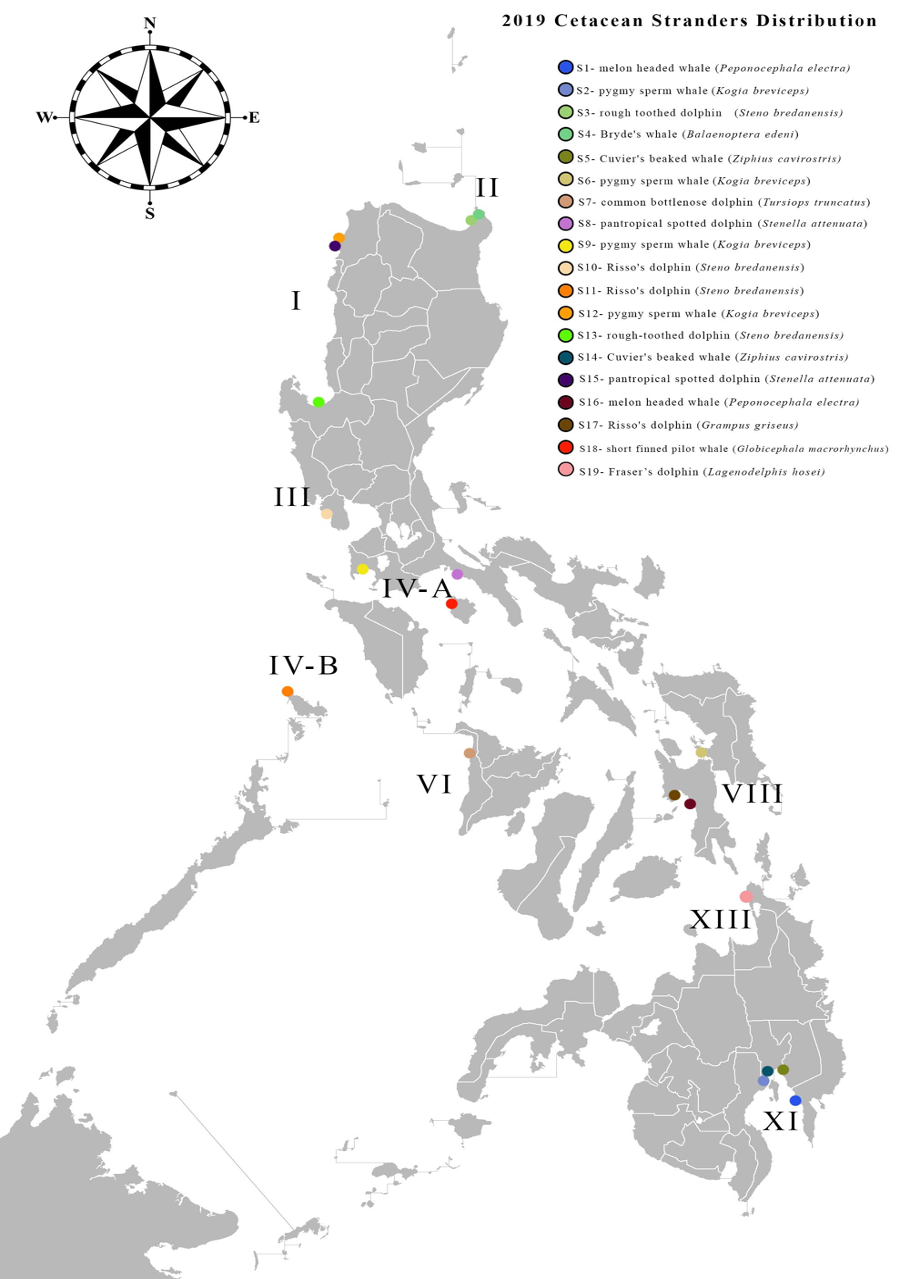 PSL%202019 vol12-no02-p133-138-Mikita%20and%20Padlan