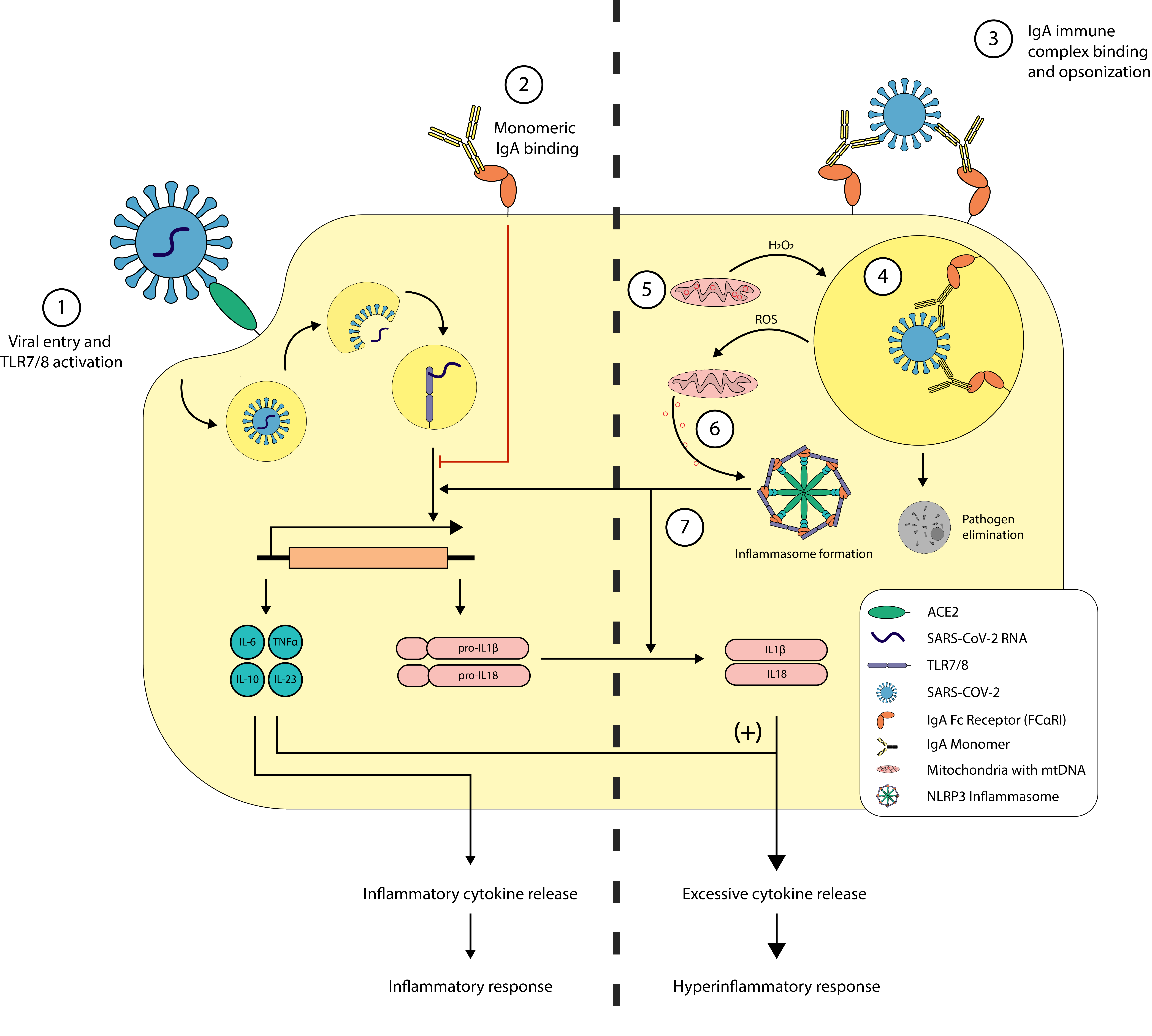 PSL%202019 vol12-no02-p133-138-Mikita%20and%20Padlan