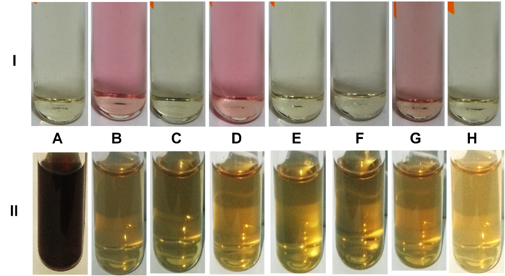 PSL%202019%20Special%20Issue%2008 Macalinao%20et%20al