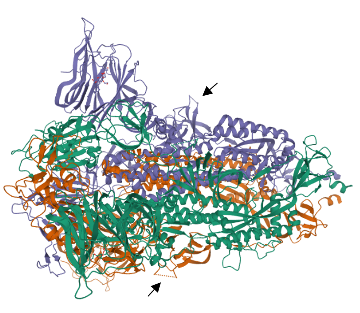 PSL%202021 vol14-no01-p12-28-Mikita%20and%20Padlan