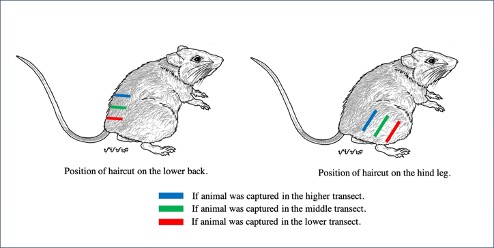 PSL%202021 vol14-no01-p12-28-Mikita%20and%20Padlan