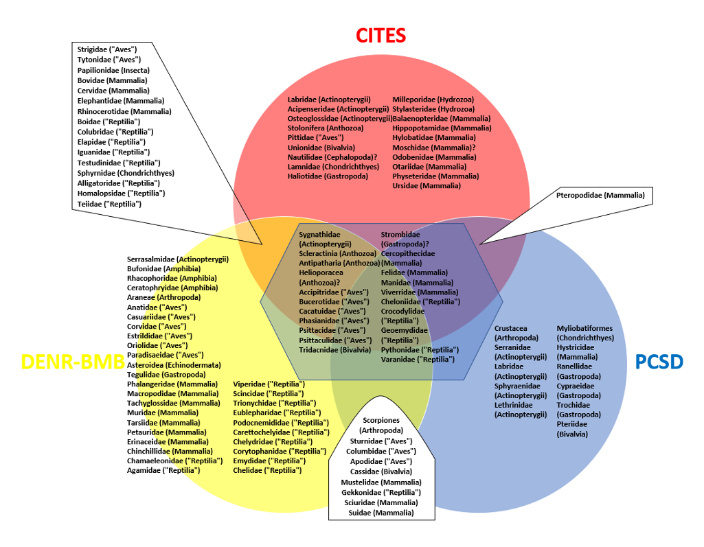 PSL%202021 vol14-no01-p12-28-Mikita%20and%20Padlan