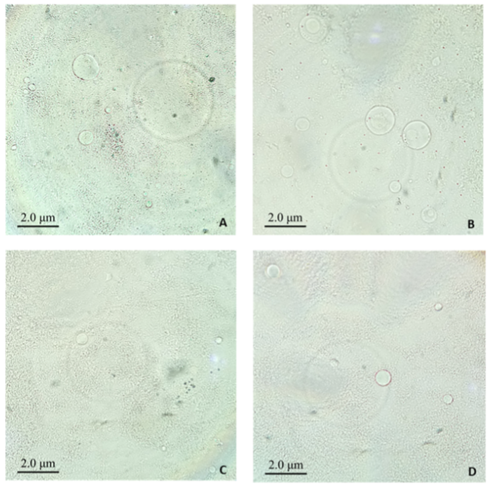 PSL%202019%20Special%20Issue%2008 Macalinao%20et%20al