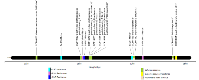 PSL%202021 vol14-no01-p12-28-Mikita%20and%20Padlan