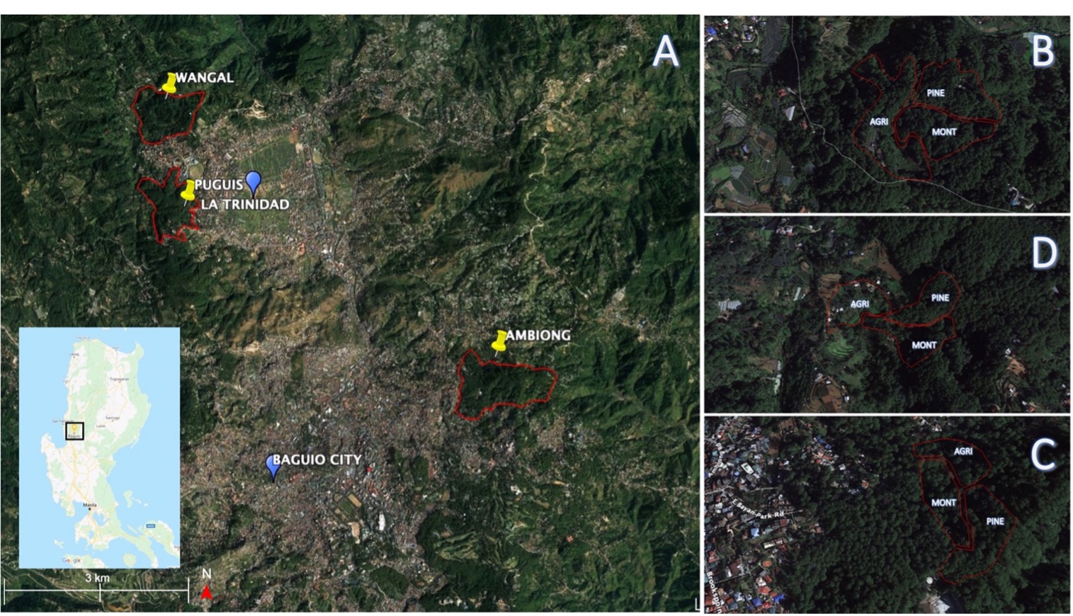 PSL%202021 vol14-no01-p12-28-Mikita%20and%20Padlan