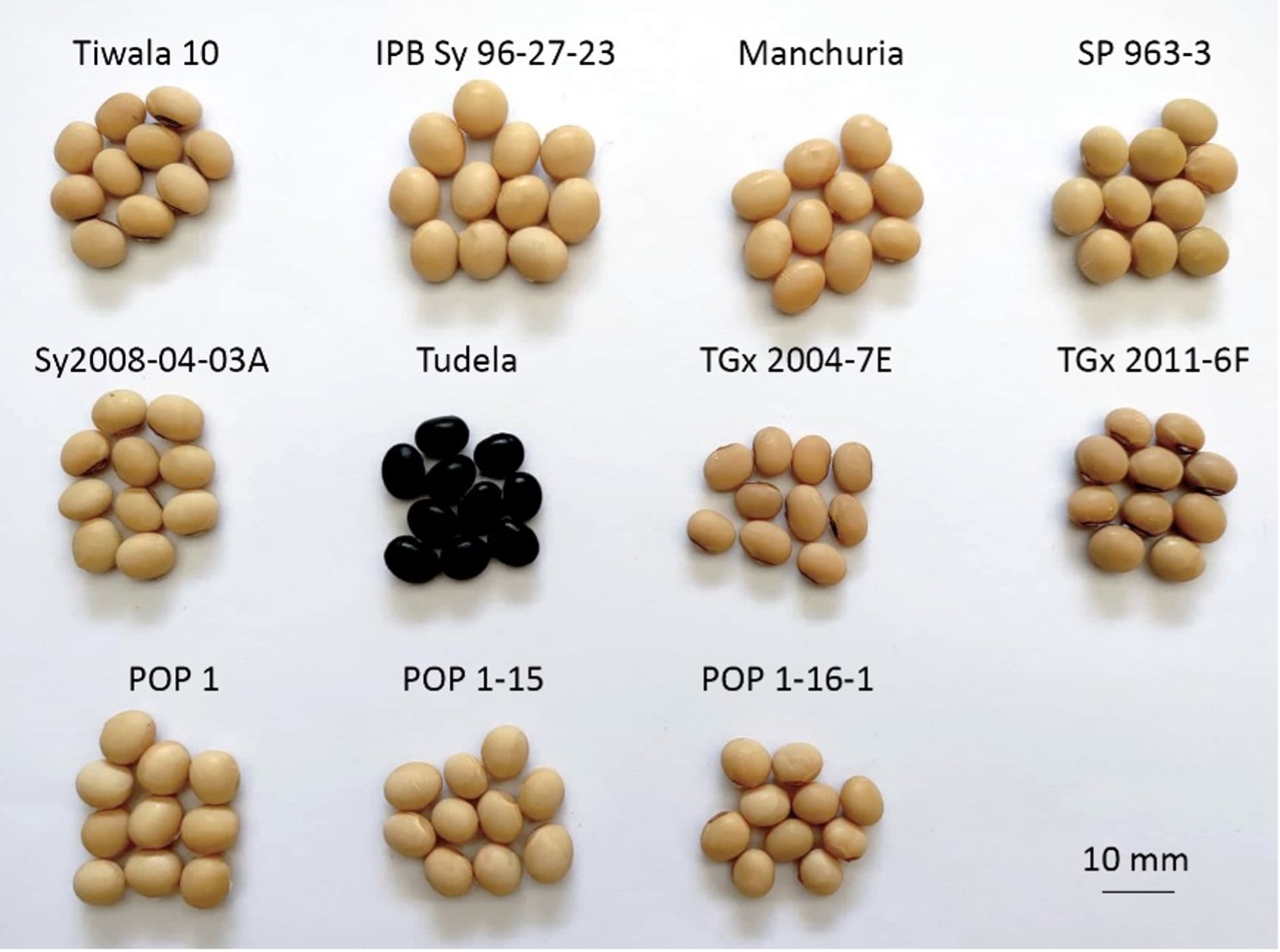 PSL%202021 vol14-no01-p12-28-Mikita%20and%20Padlan