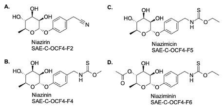 PSL%202021 vol14-no01-p12-28-Mikita%20and%20Padlan