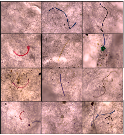 SciEnggJ%202023%20Special%20Issue%2001 09-Banaay%20et%20al