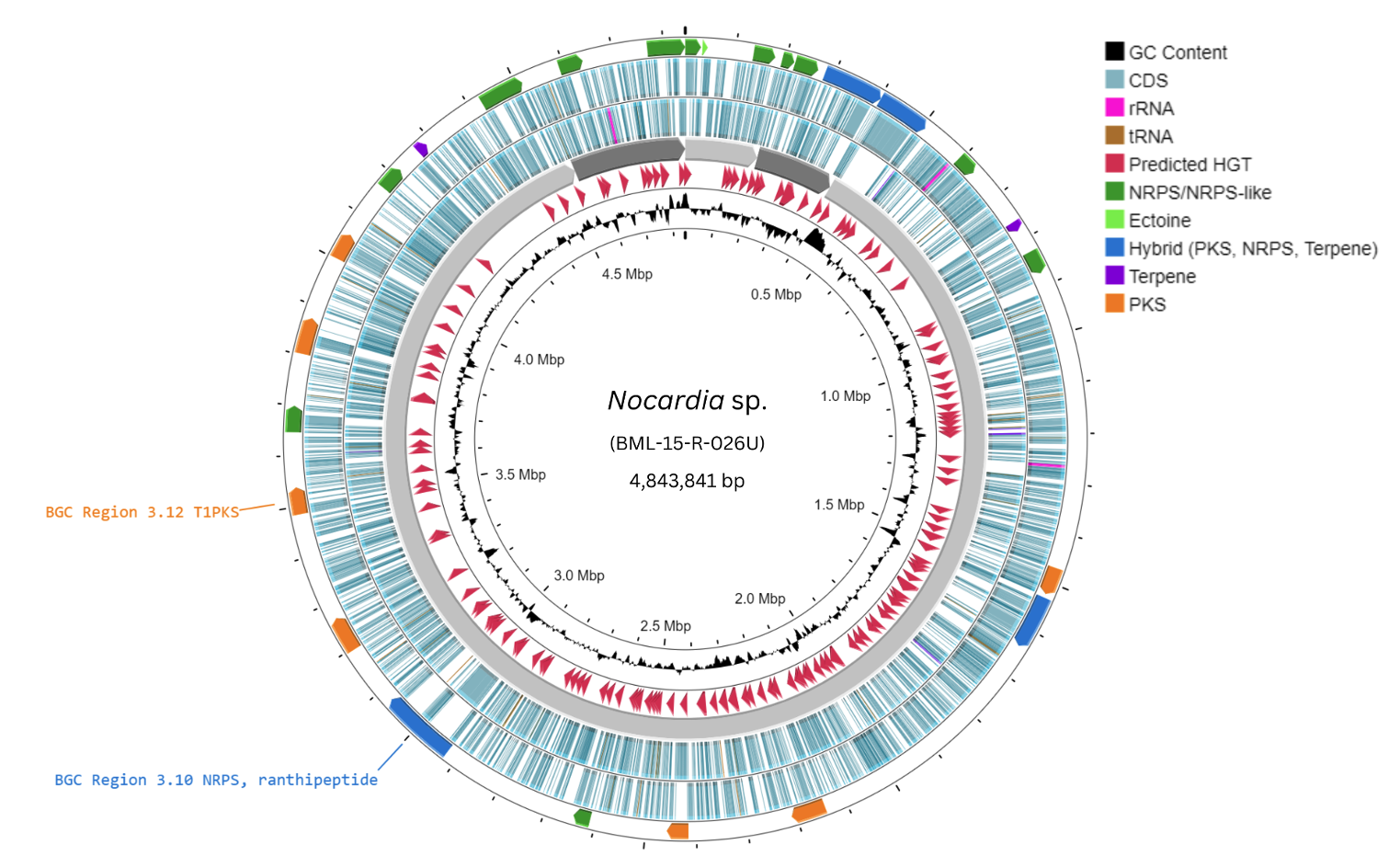 SciEnggJ%202023%20Special%20Issue%2001 09-Banaay%20et%20al