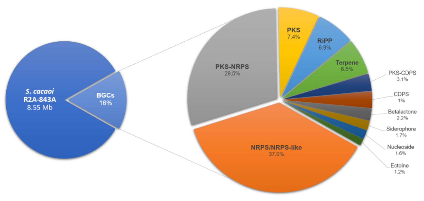 SciEnggJ%202023%20Special%20Issue%2001 09-Banaay%20et%20al