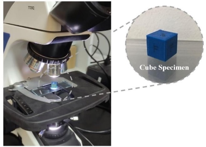 PSL%202021 vol14-no01-p12-28-Mikita%20and%20Padlan