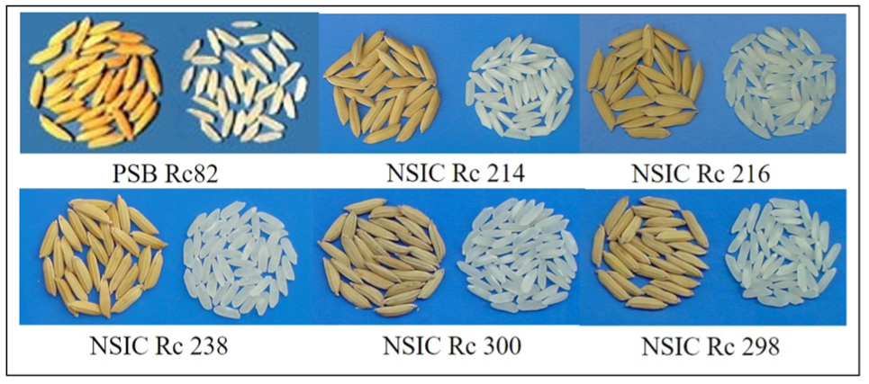 PSL%202021 vol14-no01-p12-28-Mikita%20and%20Padlan