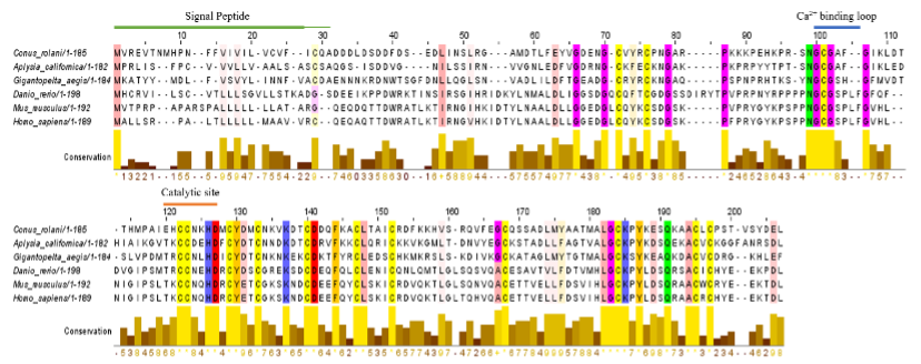 SciEnggJ%202024%20Special%20Issue%201 7 Pasham%20et%20al