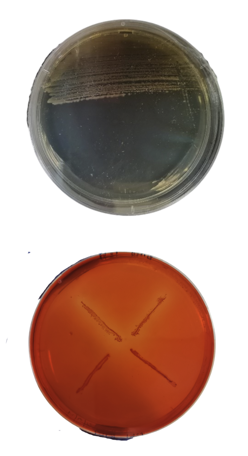 SciEnggJ%202024%20Special%20Issue%20148 154 Maarof%20et%20al