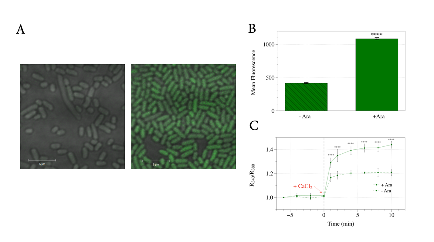 SciEnggJ%202024%20Special%20Issue%201 7 Pasham%20et%20al