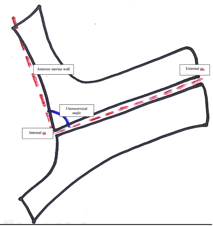 SciEnggJ%202024%20Special%20Issue%20148 154 Maarof%20et%20al