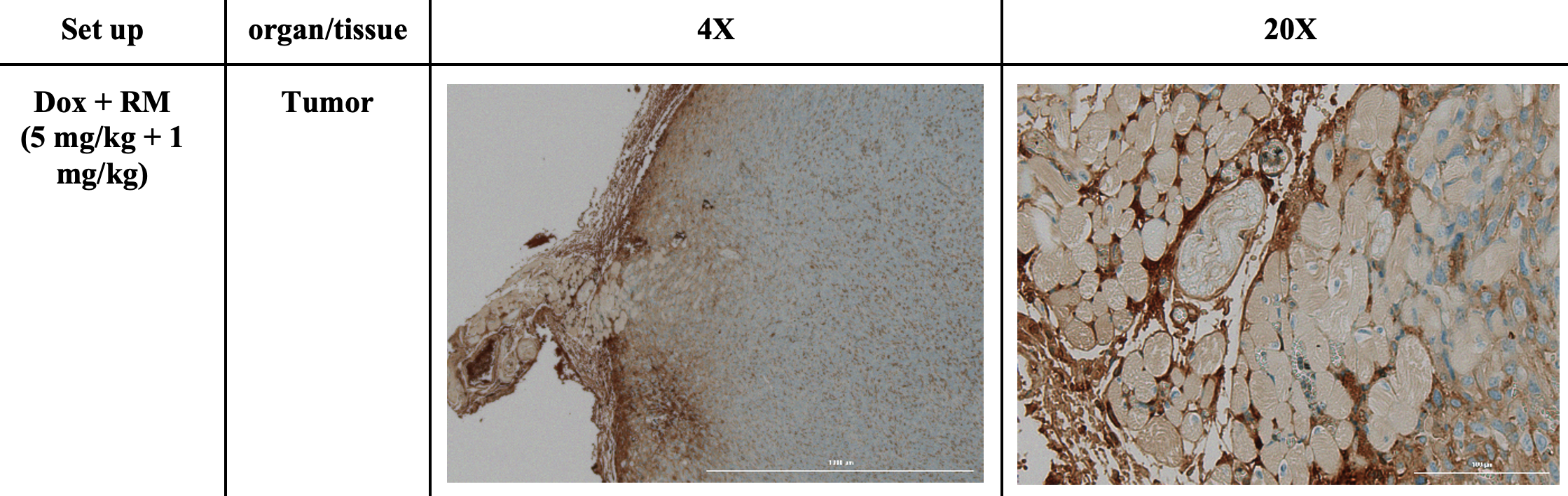 SciEnggJ%202024%20Special%20Issue%20148 154 Maarof%20et%20al