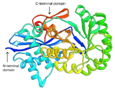 SciEnggJ%202024%20Special%20Issue%20148 154 Maarof%20et%20al