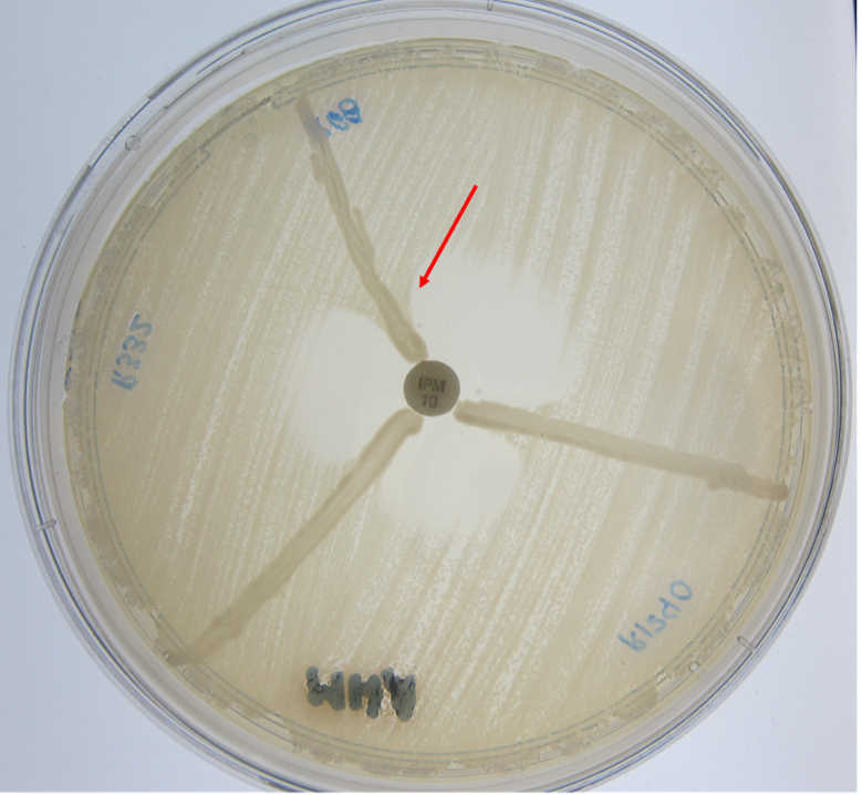 SciEnggJ%202024%20Special%20Issue%201 7 Pasham%20et%20al