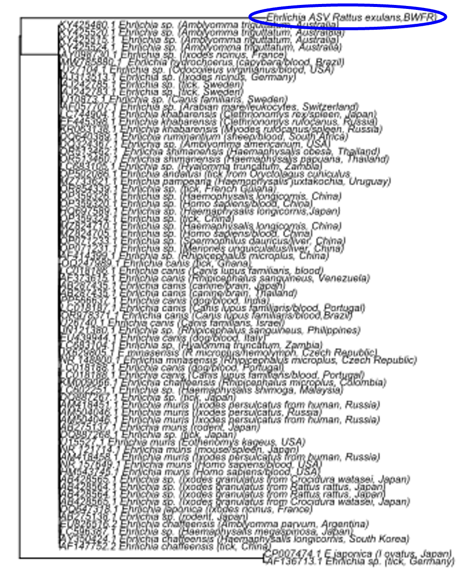 PSL%202021 vol14-no01-p12-28-Mikita%20and%20Padlan
