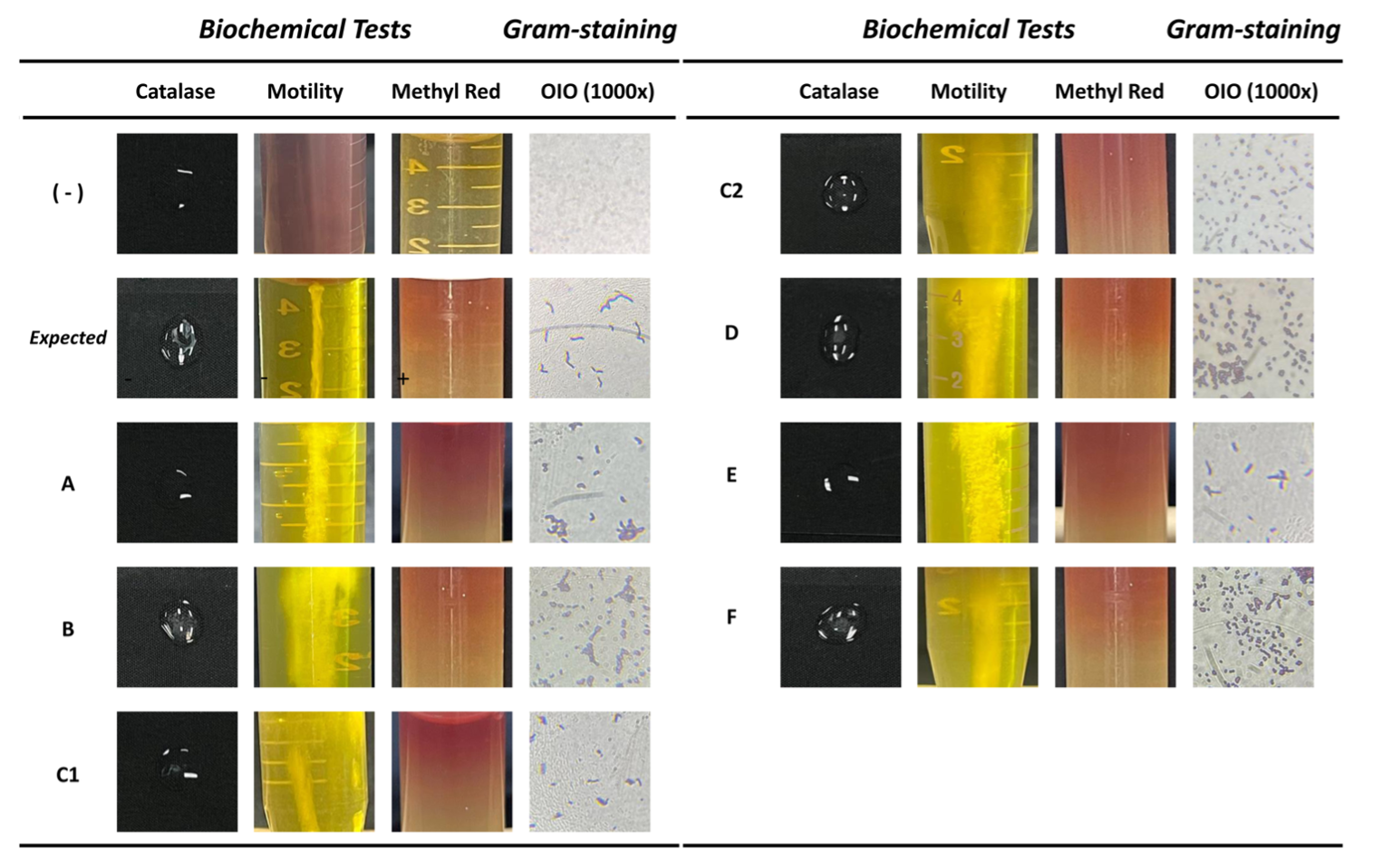 PSL%202021 vol14-no01-p12-28-Mikita%20and%20Padlan