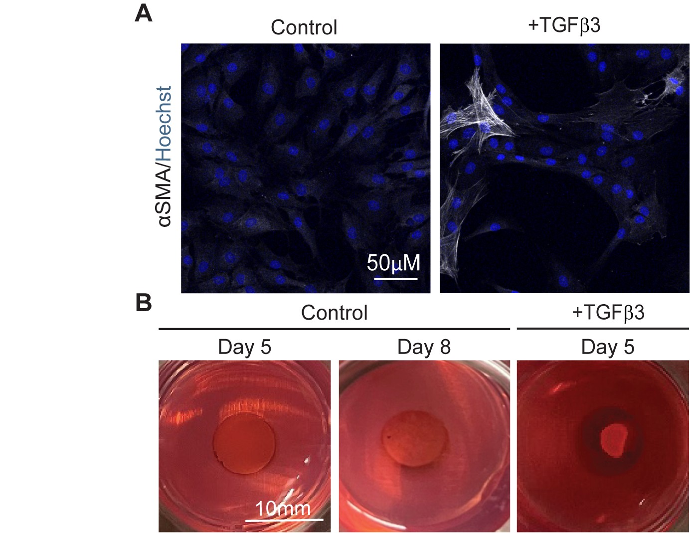 PSL%202021 vol14-no01-p12-28-Mikita%20and%20Padlan