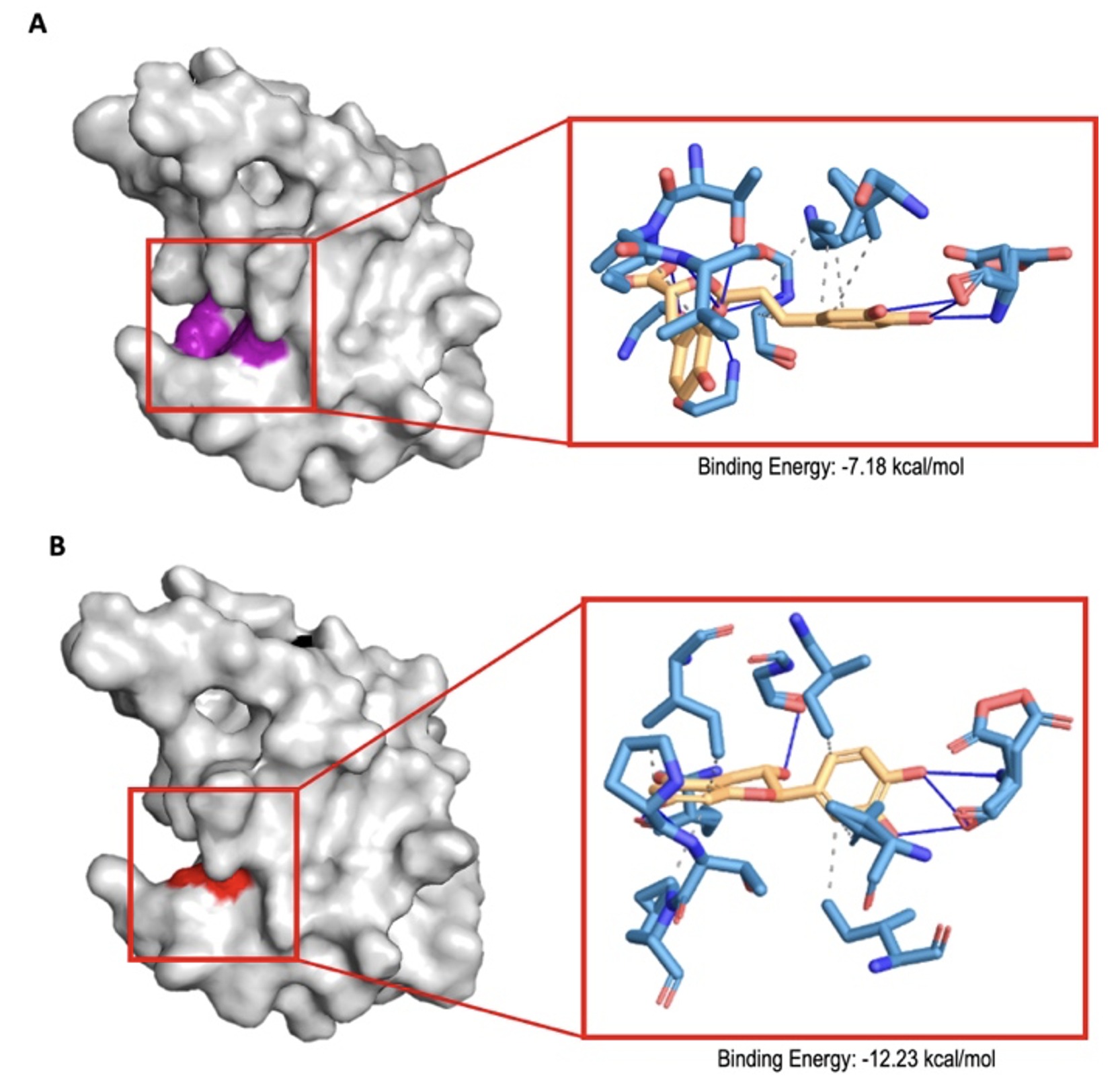 PSL%202021 vol14-no01-p12-28-Mikita%20and%20Padlan