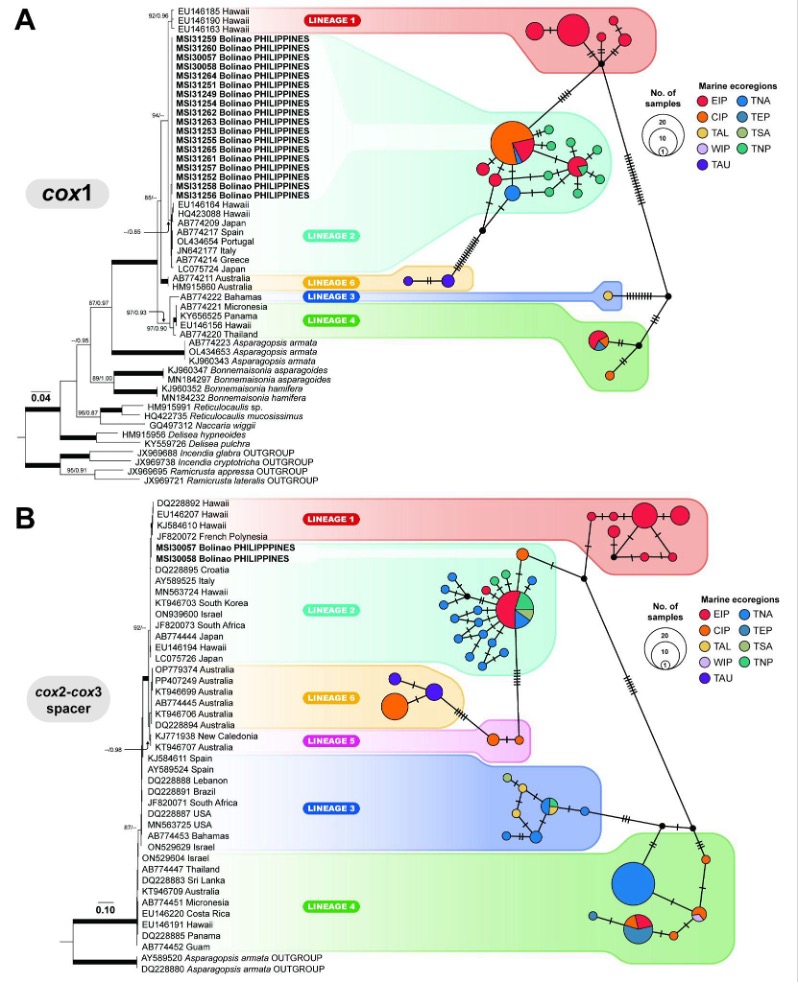 PSL%202021 vol14-no01-p12-28-Mikita%20and%20Padlan