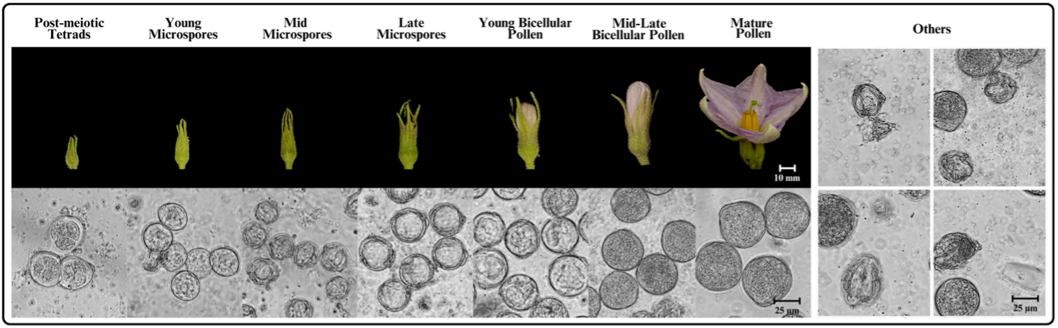 SciEnggJ%202024%20Special%20Issue%201 7 Pasham%20et%20al