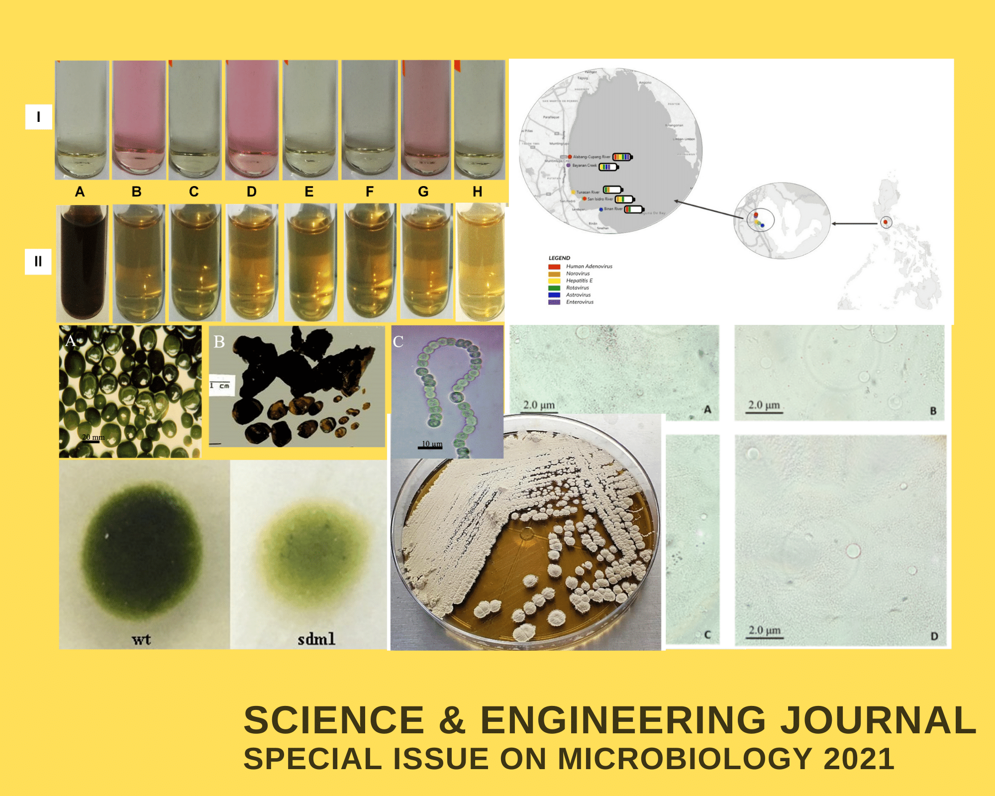 PSL%20Special%20Issue%202020