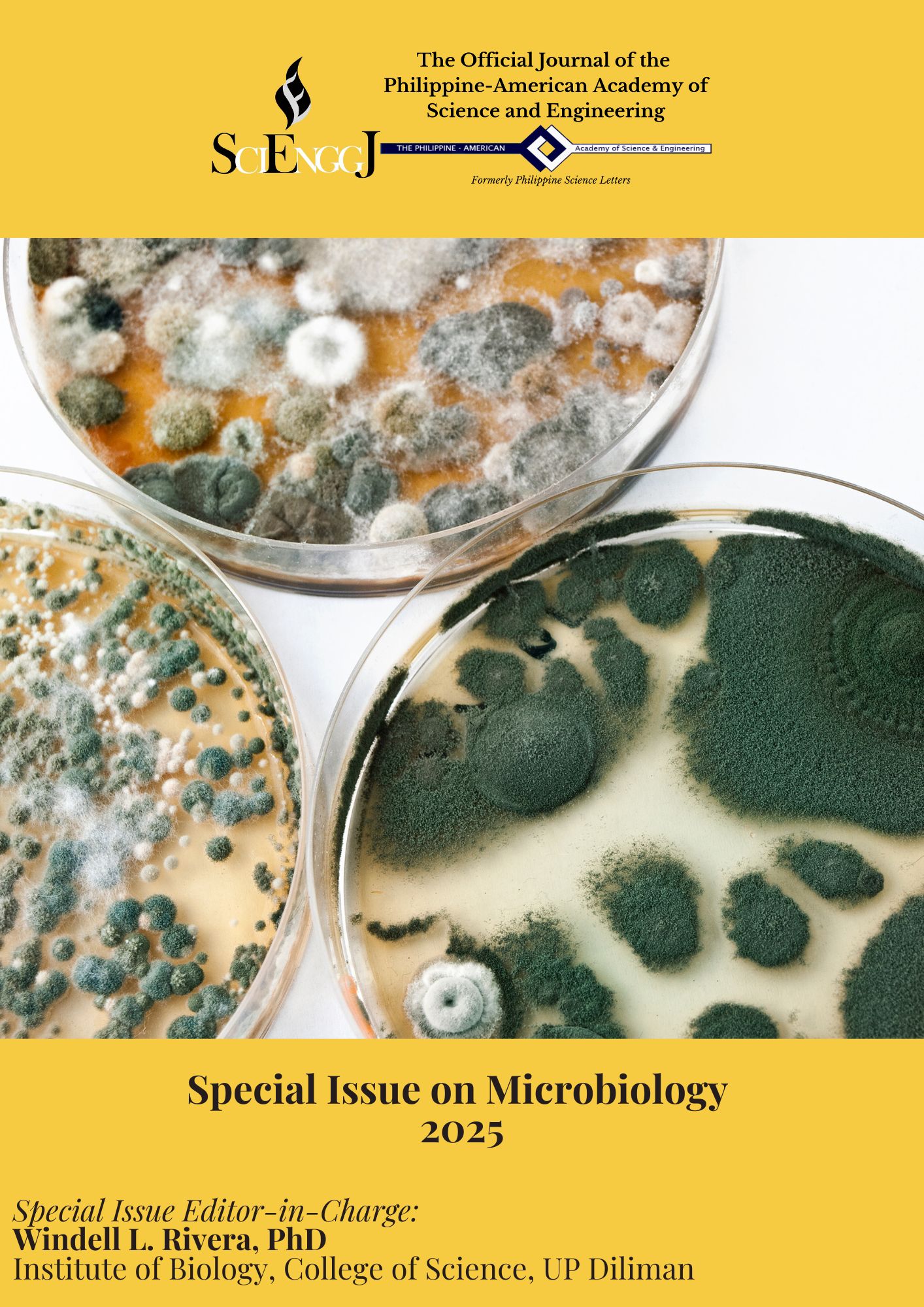 Special%20Issue%20S%26E%20Education%202024 2025