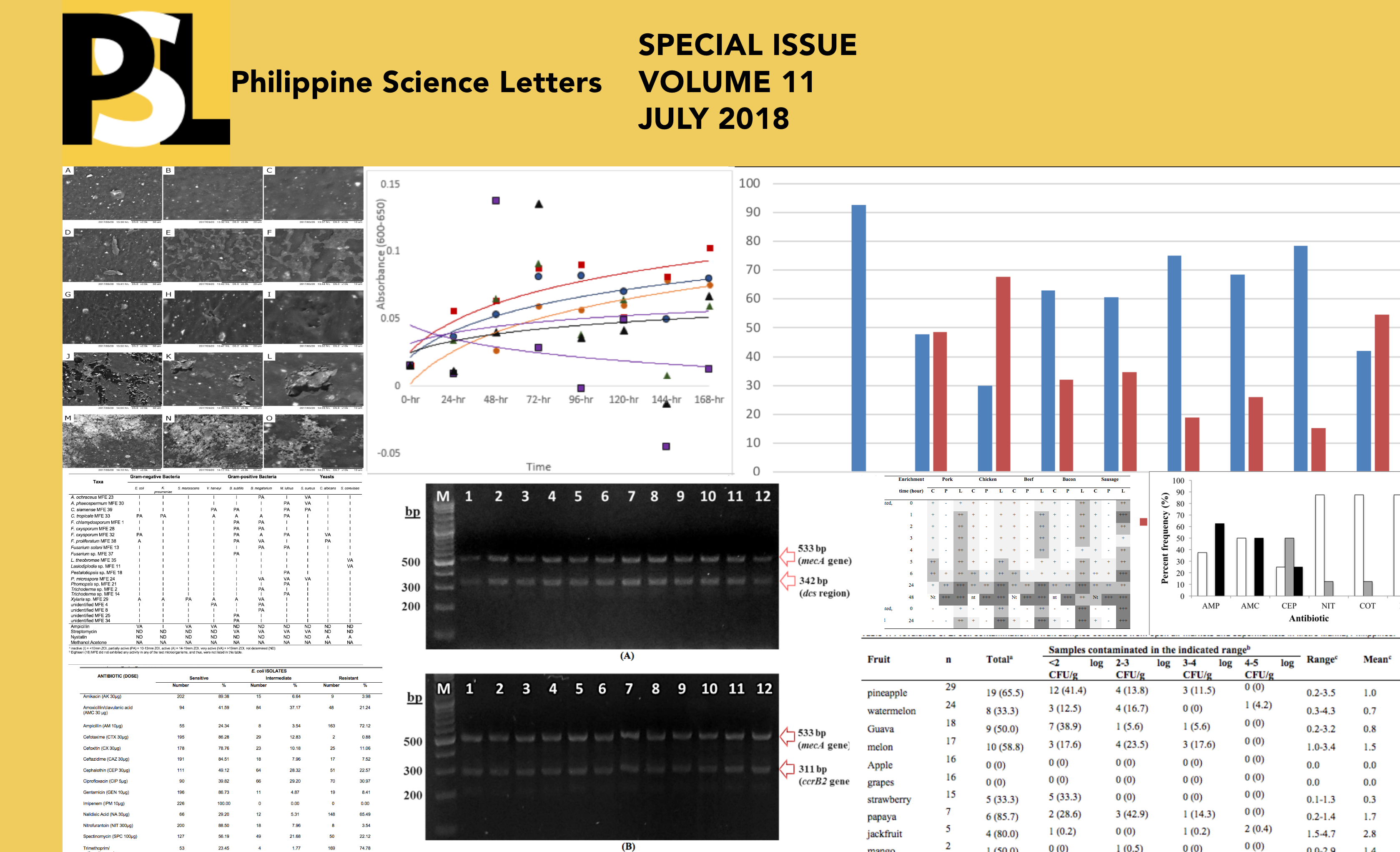 Special%20Issue%20Placeholder 2